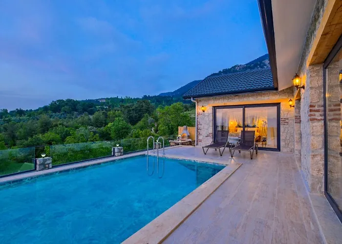 Vila Pegasusstonehouse *